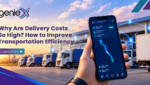 Why Are Delivery Costs So High? How to Improve Transportation Efficiency